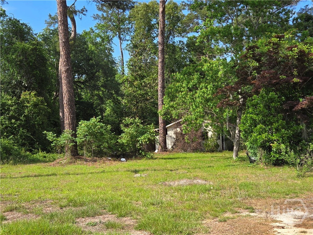 4415 Us Highway 80 E Property Photo 9