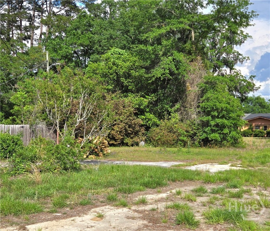 4415 Us Highway 80 E Property Photo 10