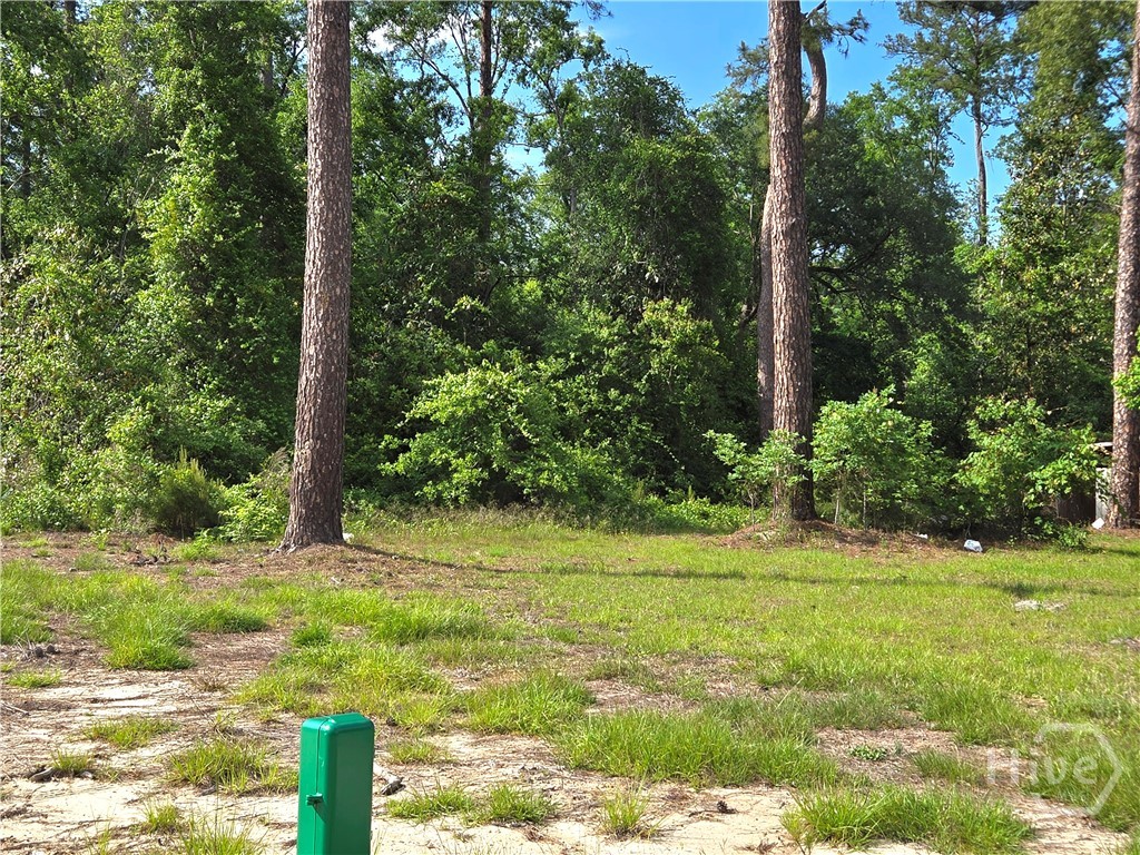 4415 Us Highway 80 E Property Photo 14