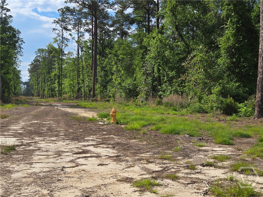 4415 Us Highway 80 E Property Photo 15