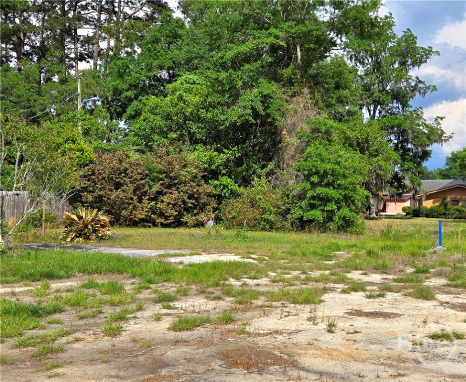 4415 Us Highway 80 E Property Photo 16