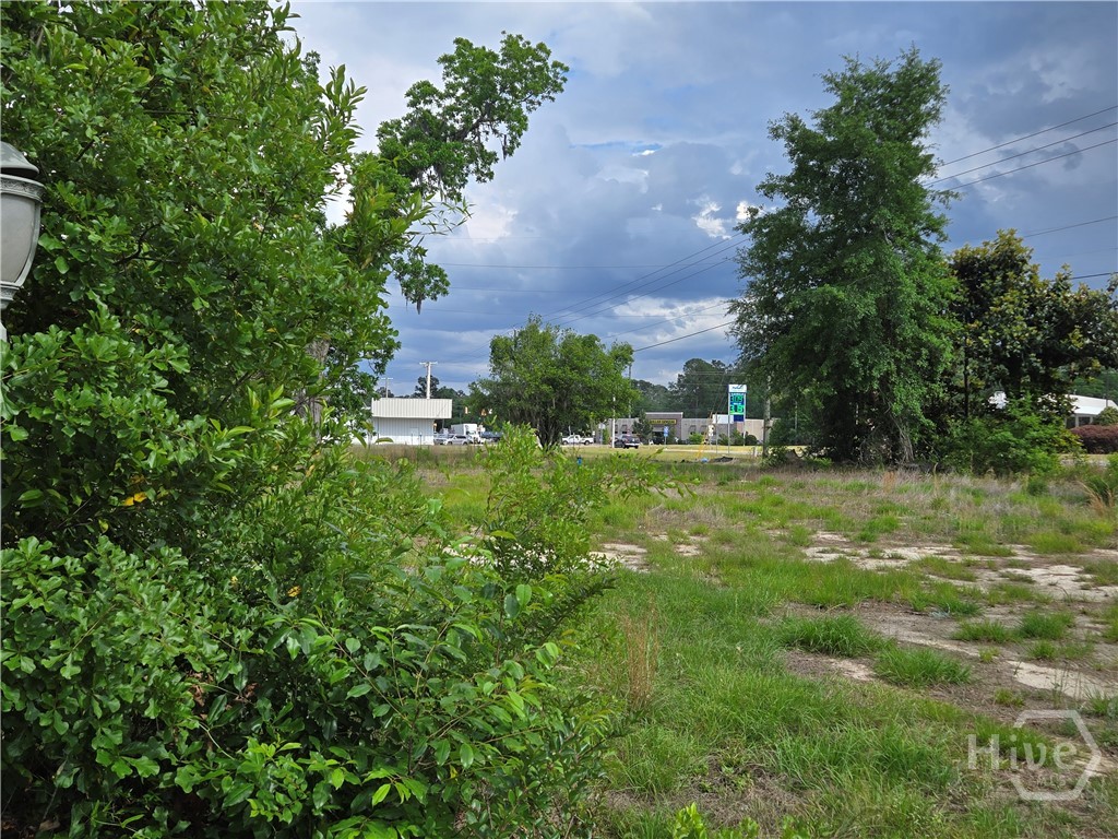 4415 Us Highway 80 E Property Photo 19