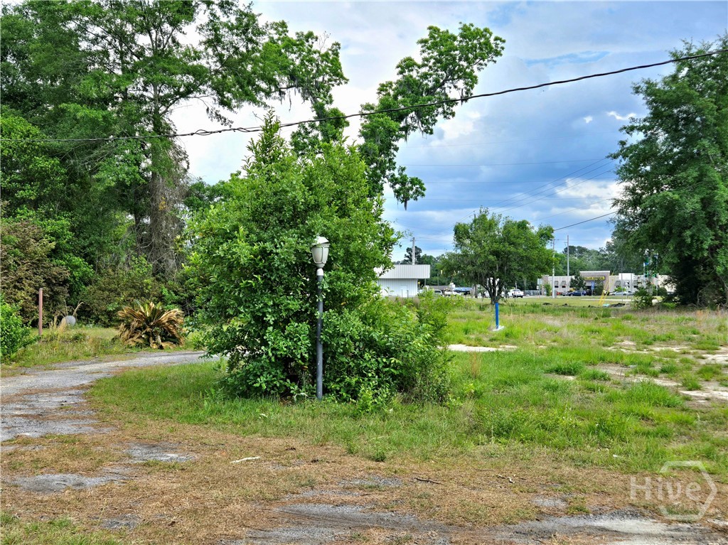 4415 Us Highway 80 E Property Photo 21