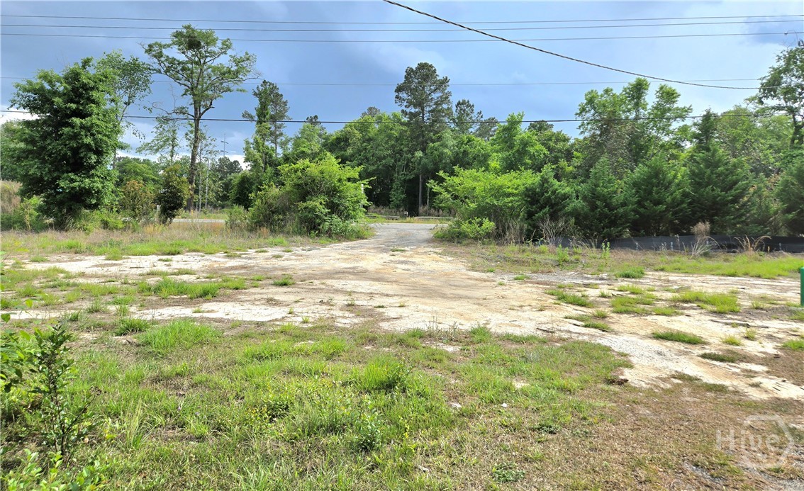 4415 Us Highway 80 E Property Photo 22