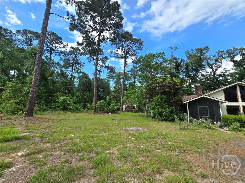 4415 Us Highway 80 E Property Photo 28
