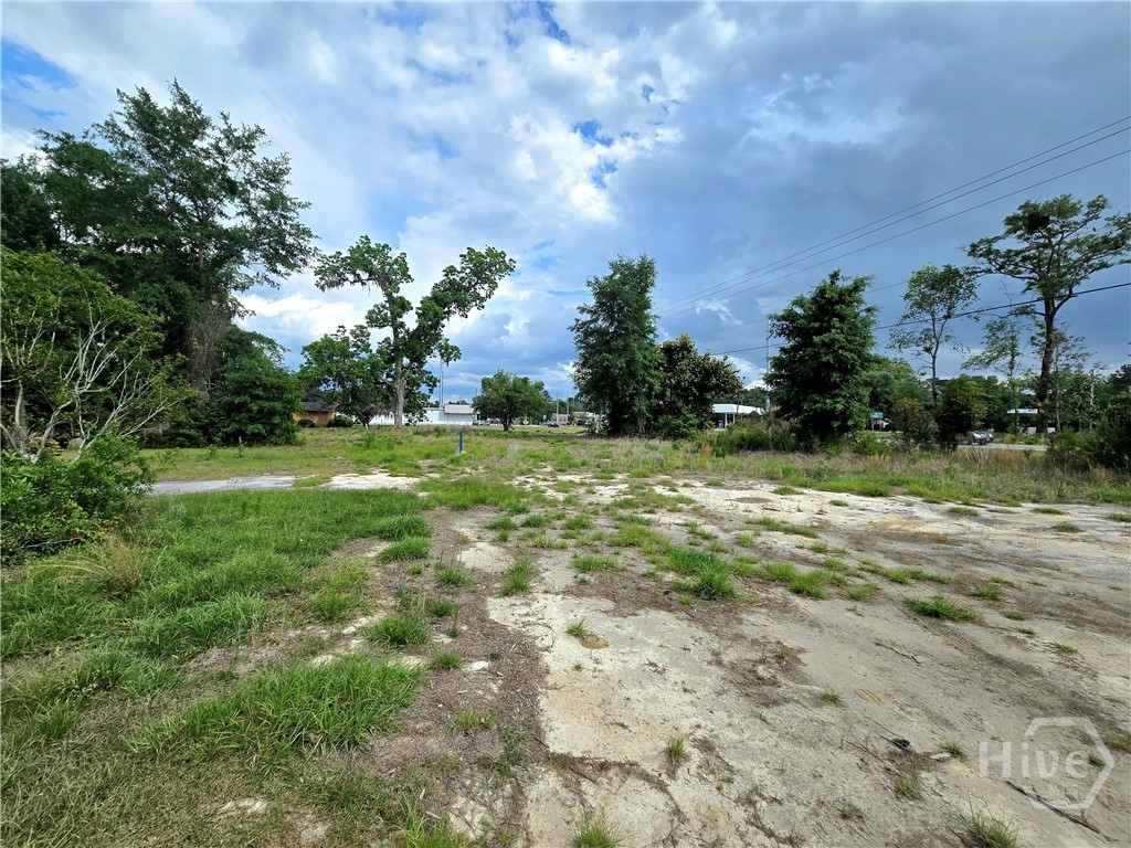 4415 Us Highway 80 E Property Photo 30