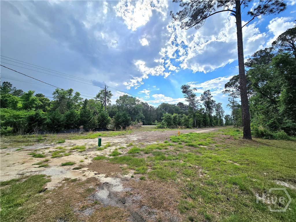 4415 Us Highway 80 E Property Photo 34