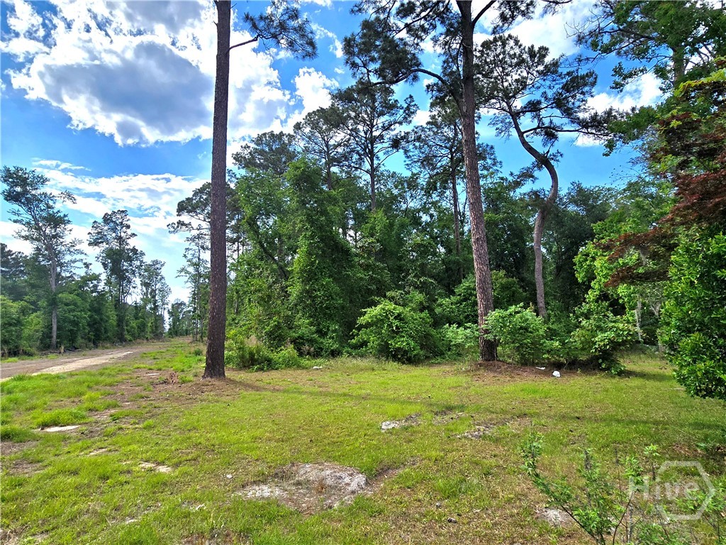 4415 Us Highway 80 E Property Photo 35