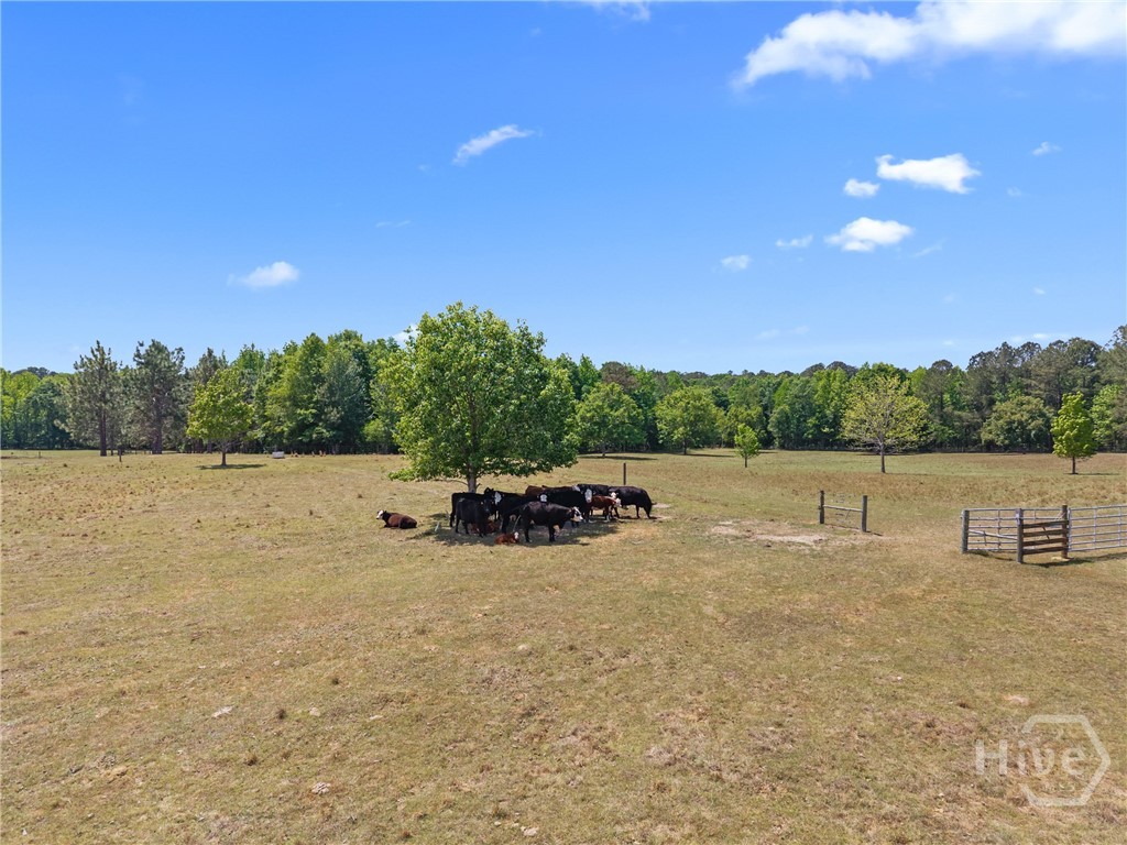 4194 Ivey S. Lane Property Photo 44