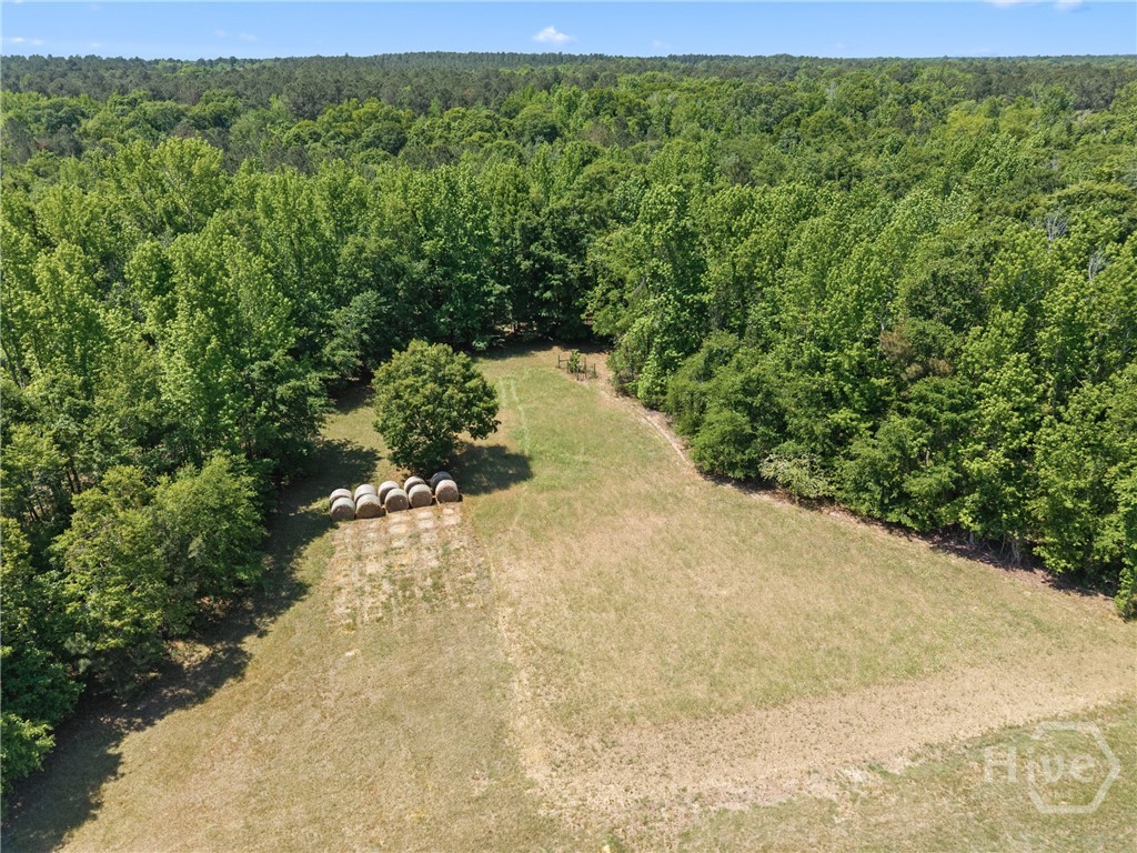 4194 Ivey S. Lane Property Photo 46