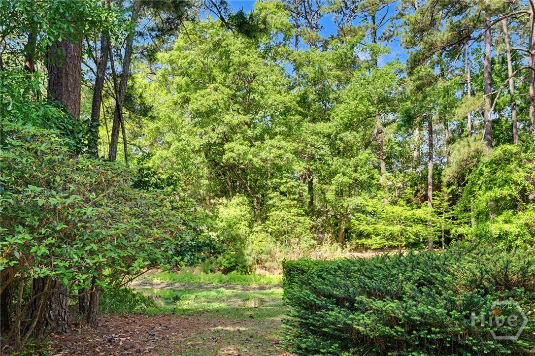 1 Treutlen Lane Property Photo 35