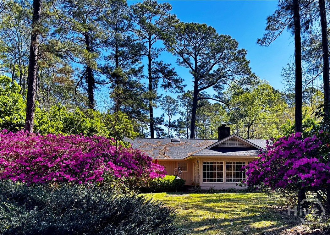 1 Treutlen Lane Property Photo 37