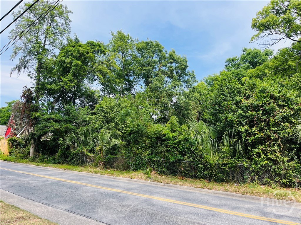 0 Skidaway Road Property Photo 3