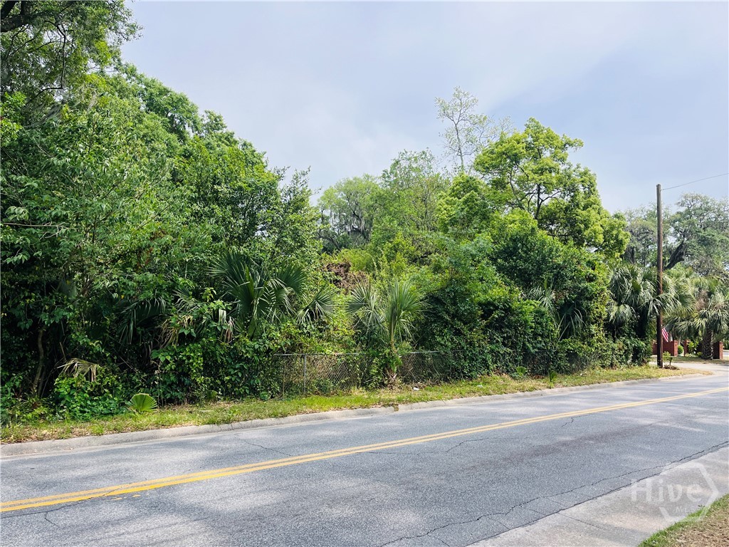 0 Skidaway Road Property Photo 4