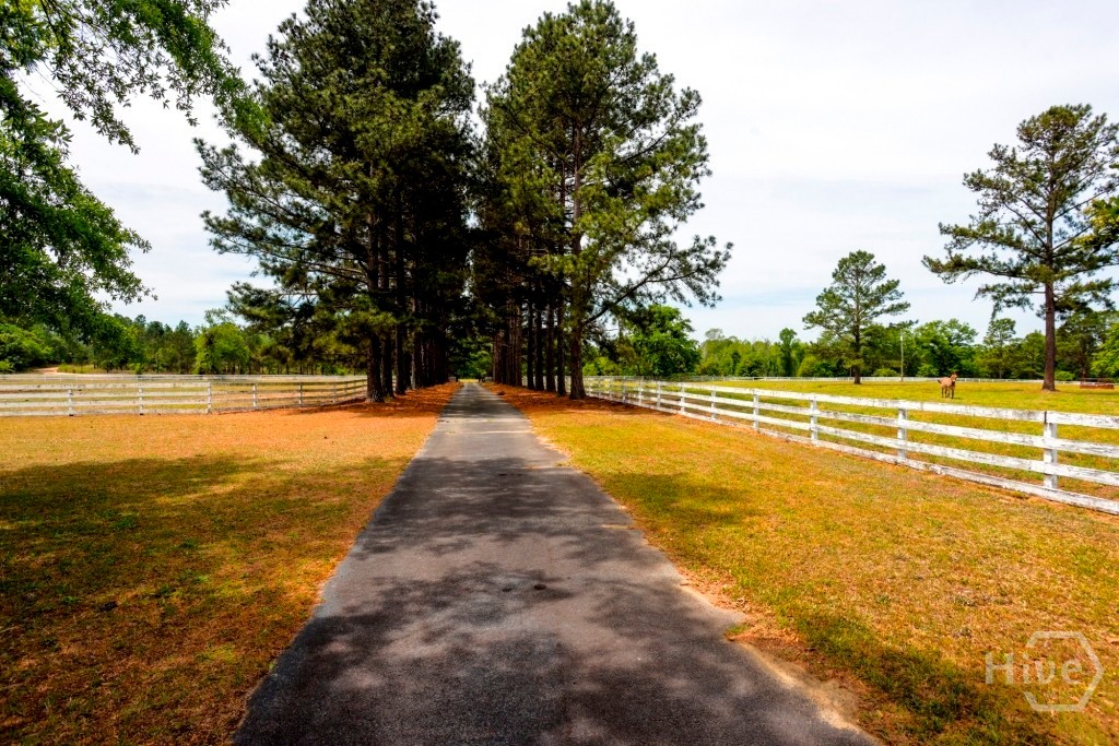 5391 Big Pine Road Property Photo 31