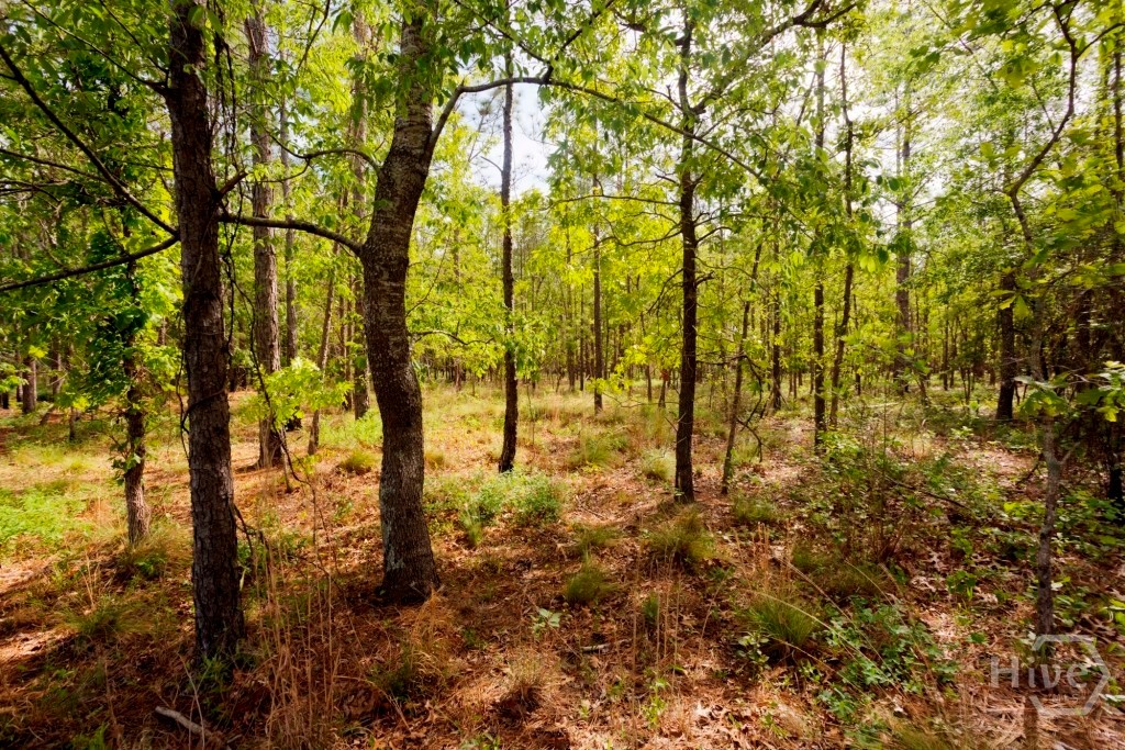 5391 Big Pine Road Property Photo 44