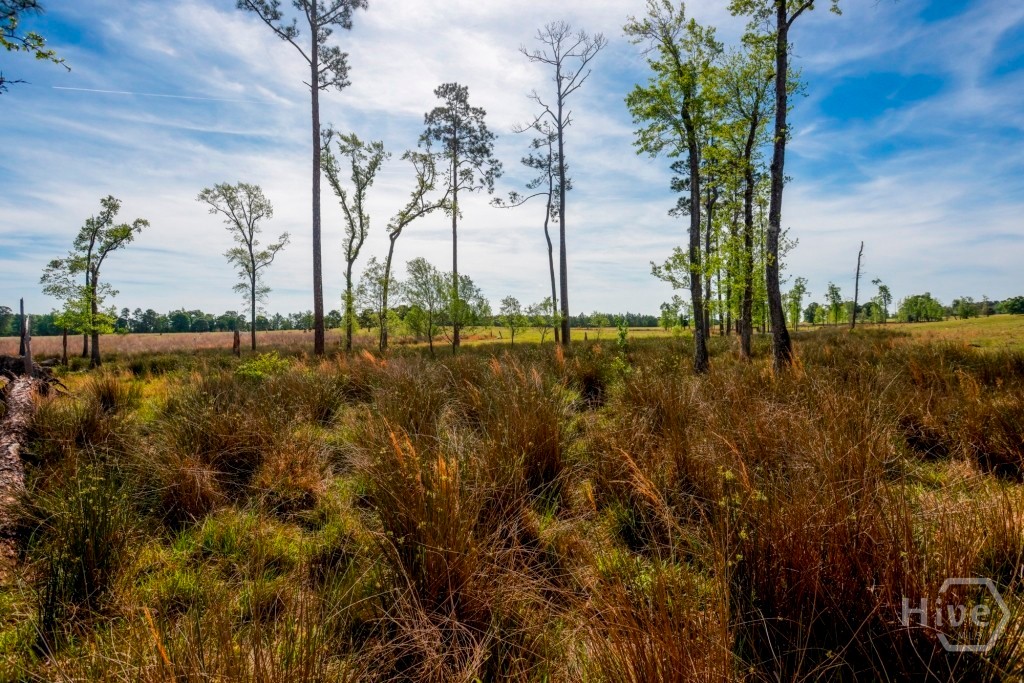 5391 Big Pine Road Property Photo 46