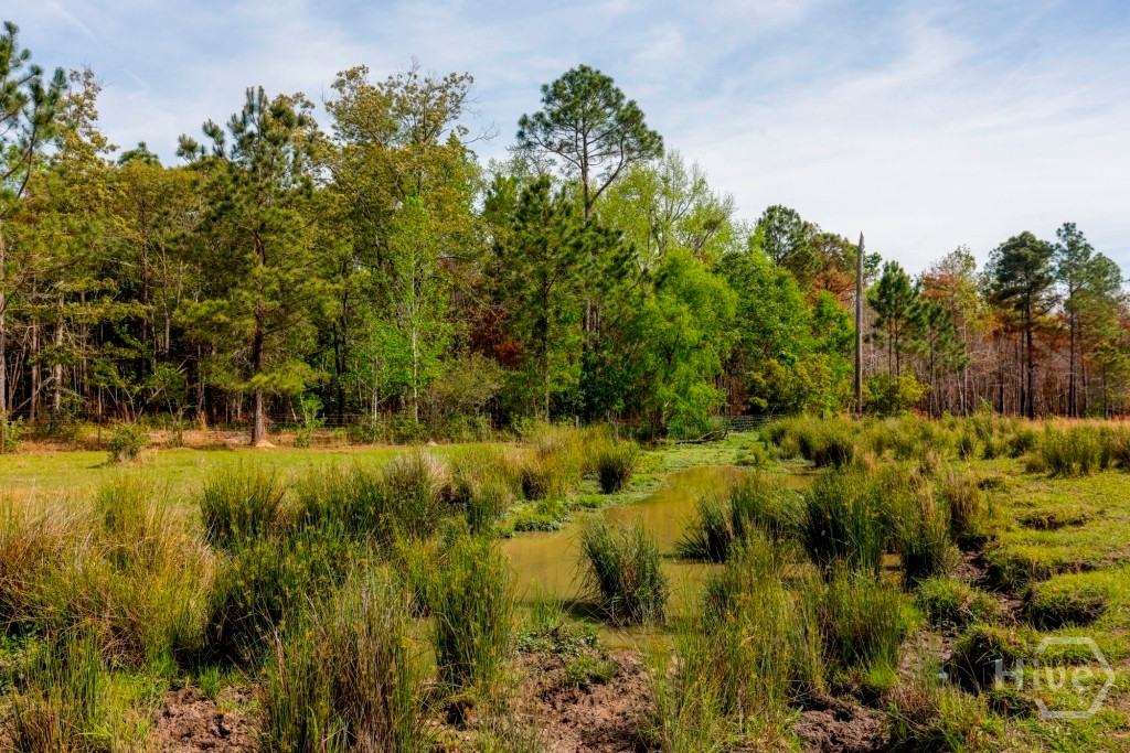 5391 Big Pine Road Property Photo 48