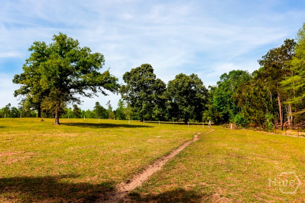 5391 Big Pine Road Property Photo 49