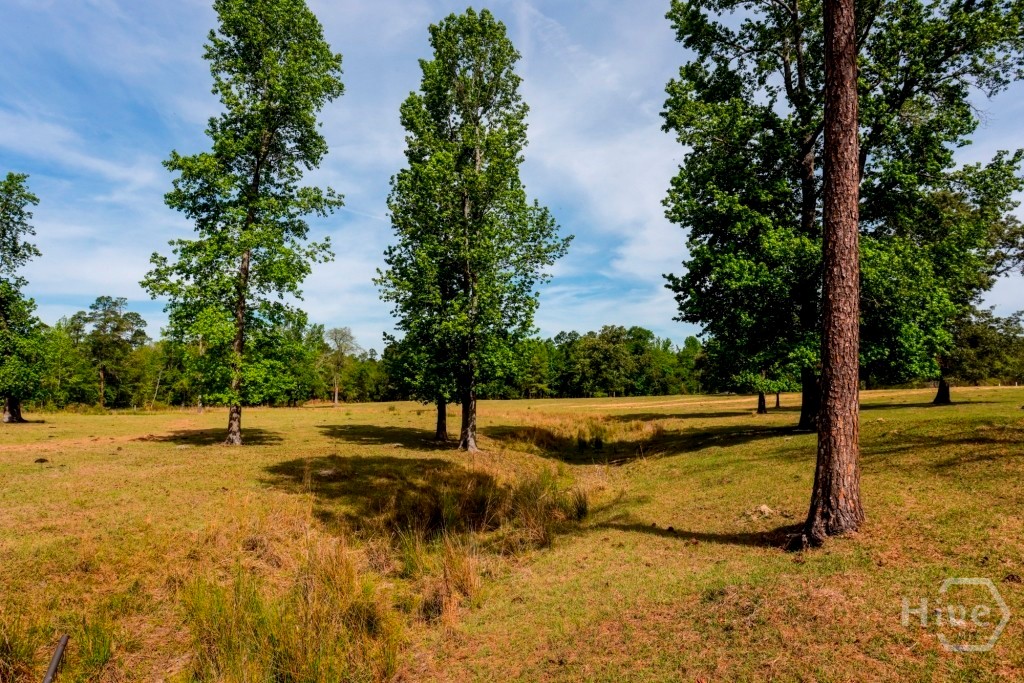 5391 Big Pine Road Property Photo 50