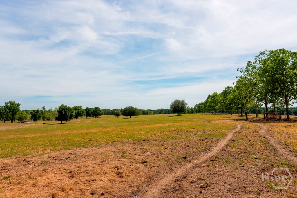5391 Big Pine Road Property Photo 51