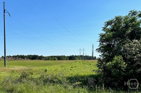 0 N Highway 301 & Old River Road Property Photo 2