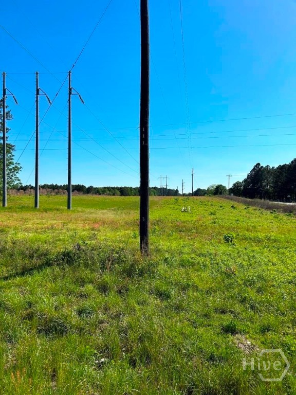 0 N Highway 301 & Old River Road Property Photo 3