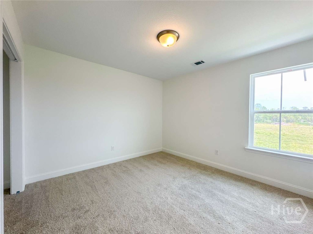 284 Boundary Hall Way Property Photo 20