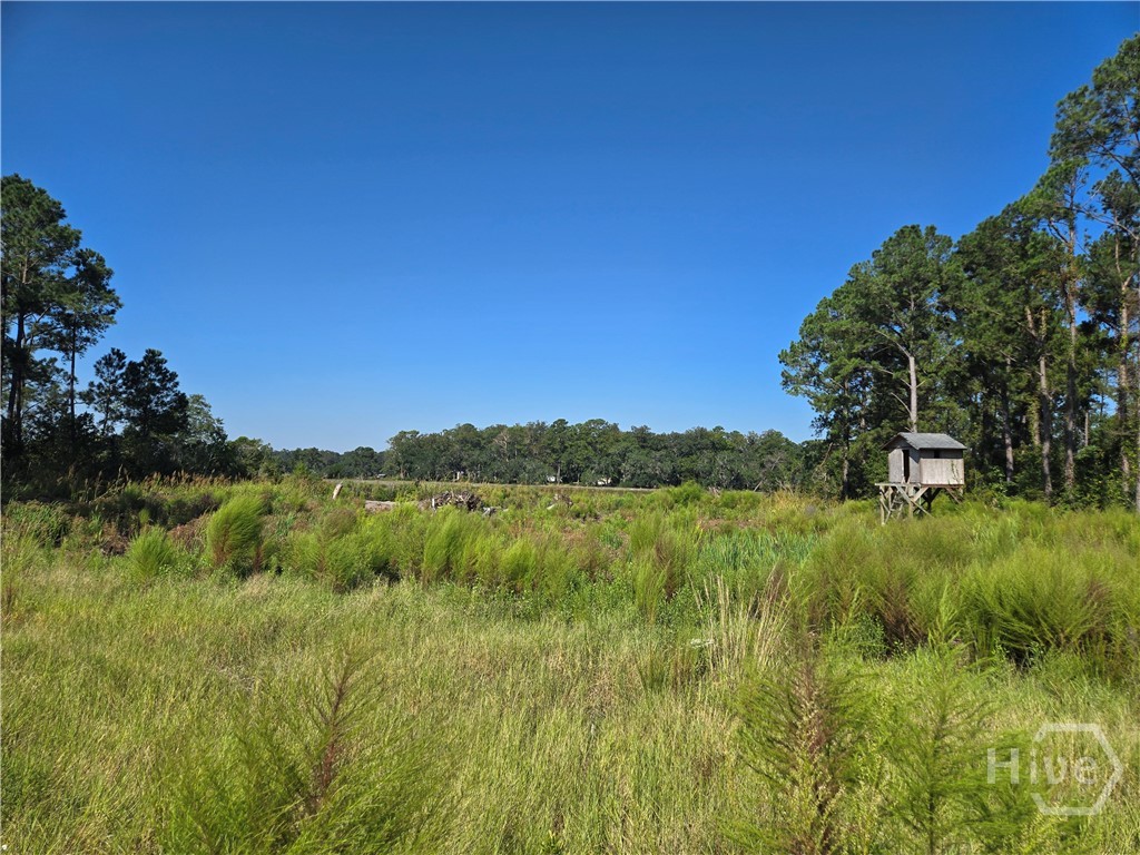 0 River Road Property Photo 1