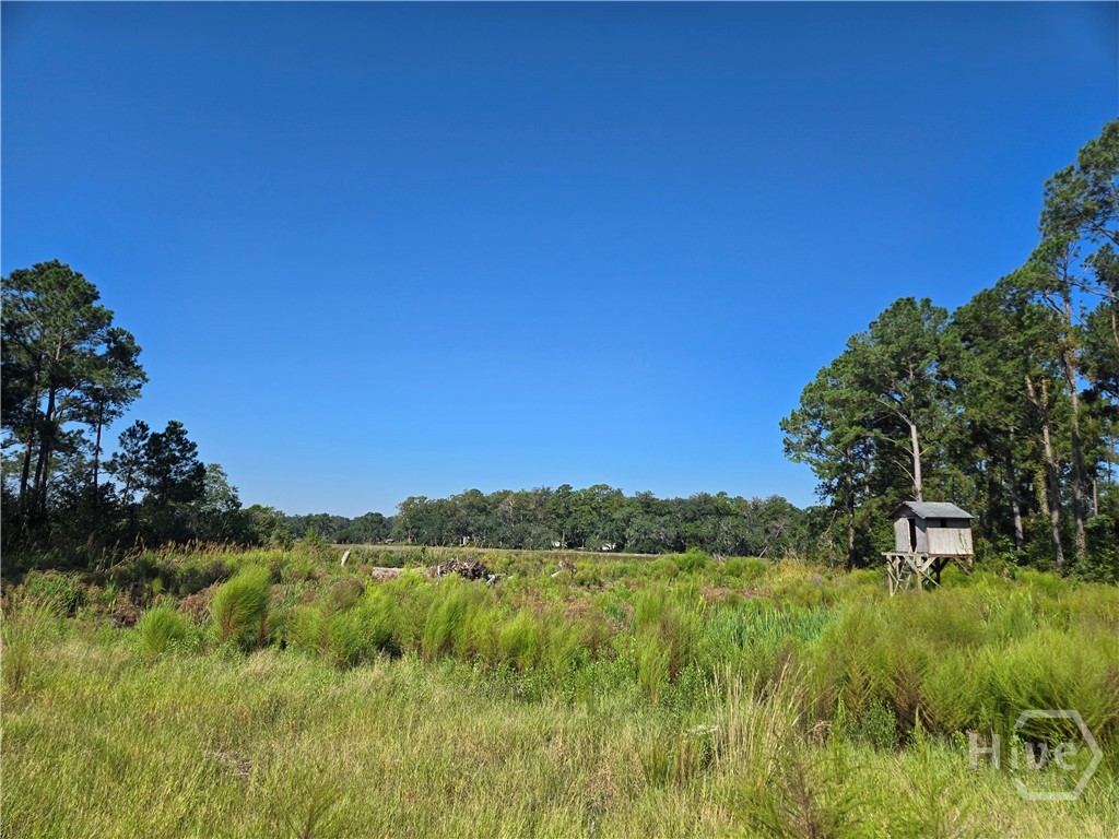 0 River Road Property Photo 2