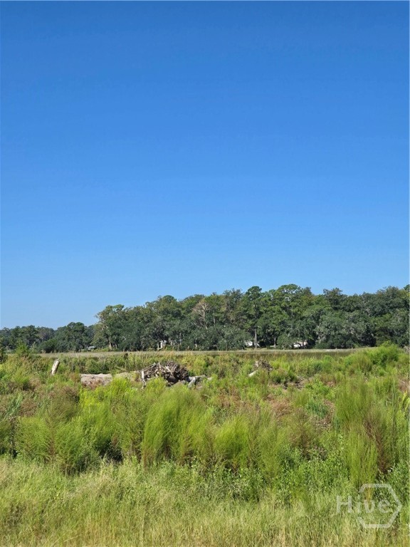 0 River Road Property Photo 3