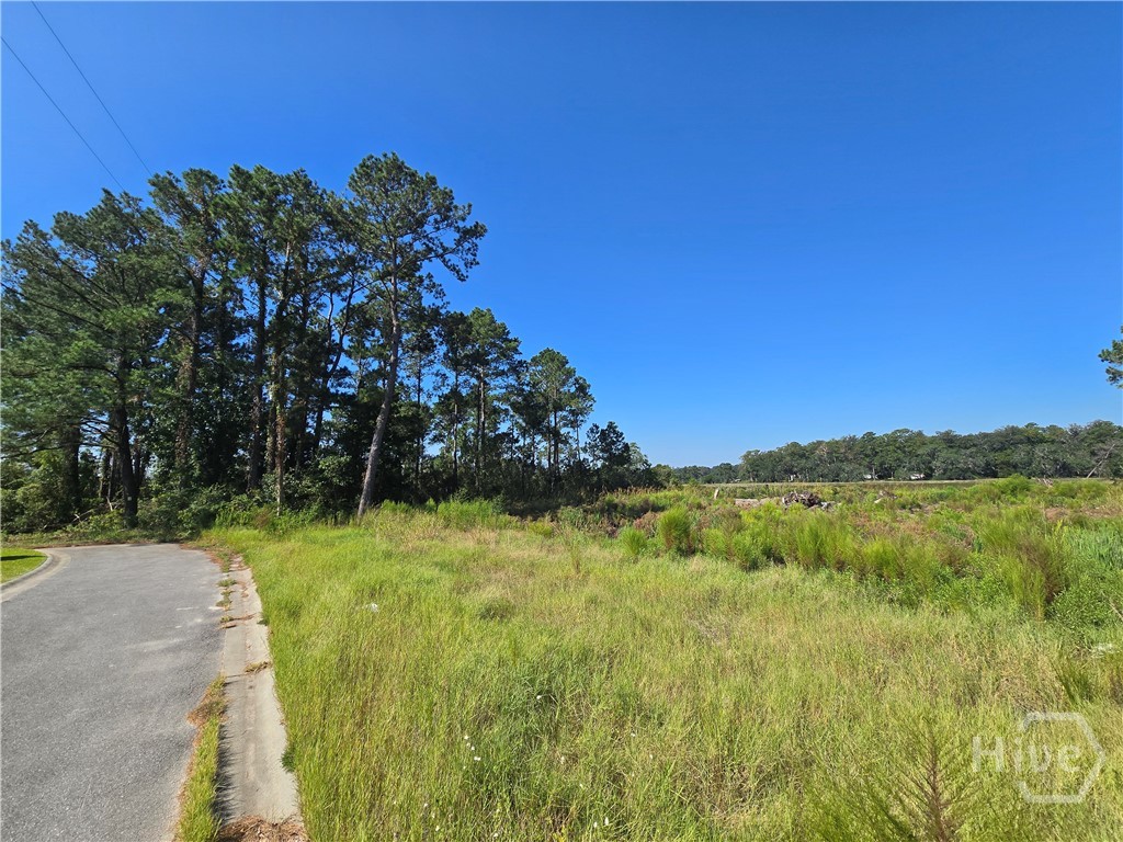 0 River Road Property Photo 8