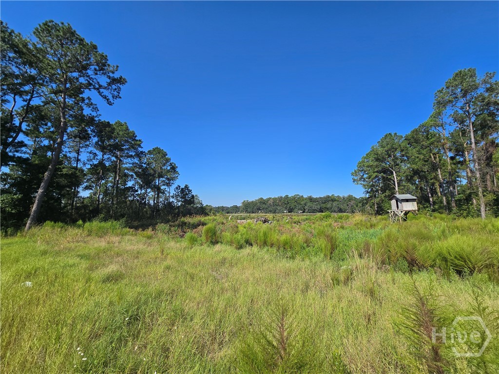 0 River Road Property Photo 9