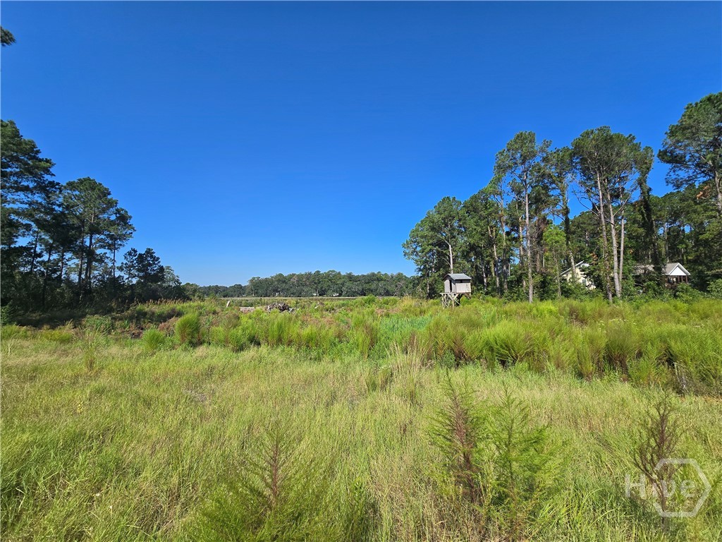 0 River Road Property Photo 10