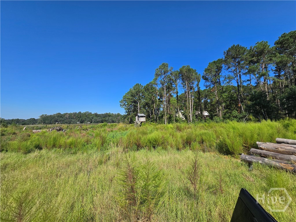 0 River Road Property Photo 11