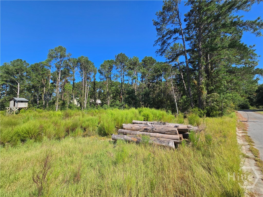0 River Road Property Photo 12