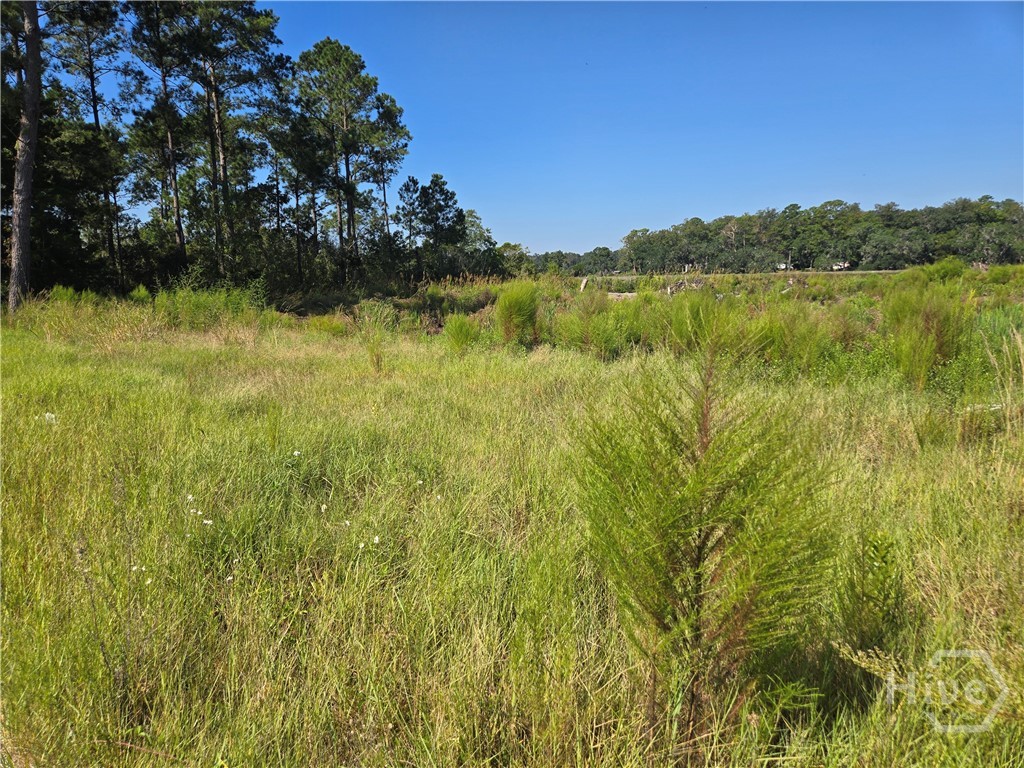 0 River Road Property Photo 13