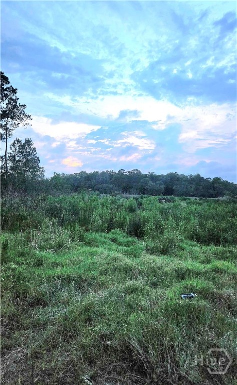 0 River Road Property Photo 17