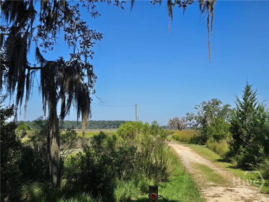 0 River Road Property Photo 20