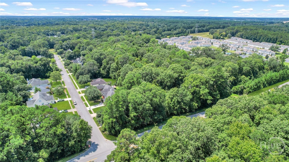 9.73 Ac Little Neck Road Property Photo 7