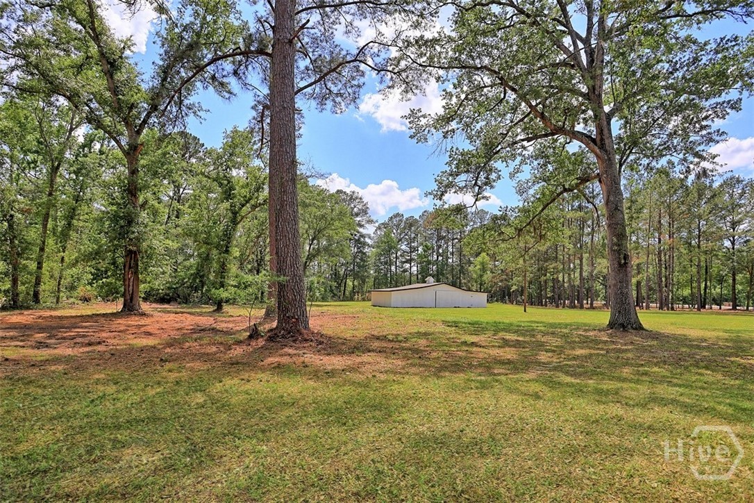 3980 Ga Highway 119 N Property Photo 35