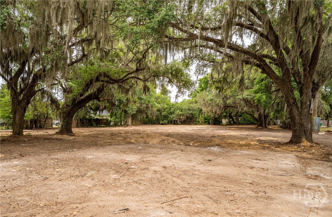 1610 Ribaut Property Photo 10