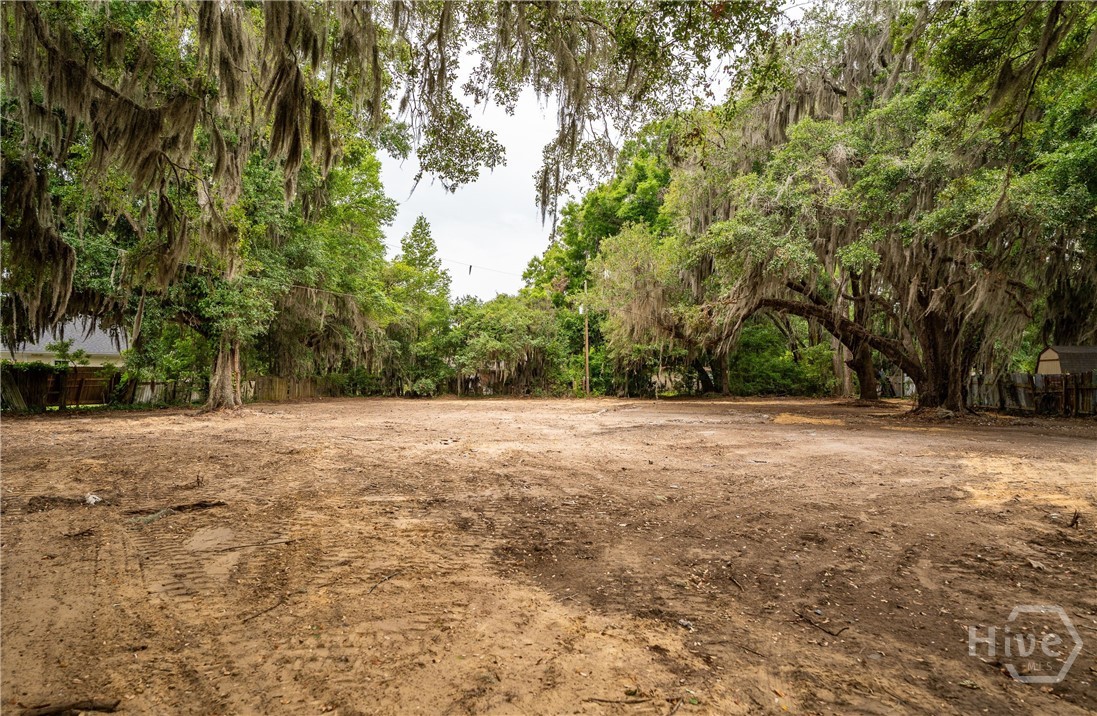 1610 Ribaut Property Photo 11