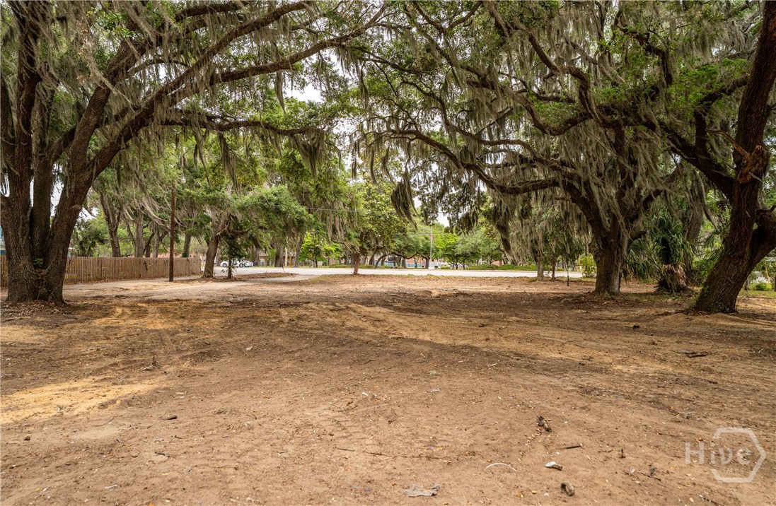 1610 Ribaut Property Photo 14