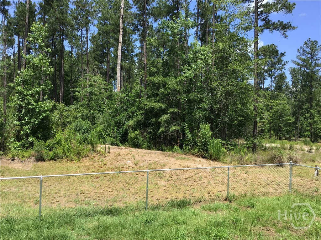 1035 Pate Rogers Property Photo 21