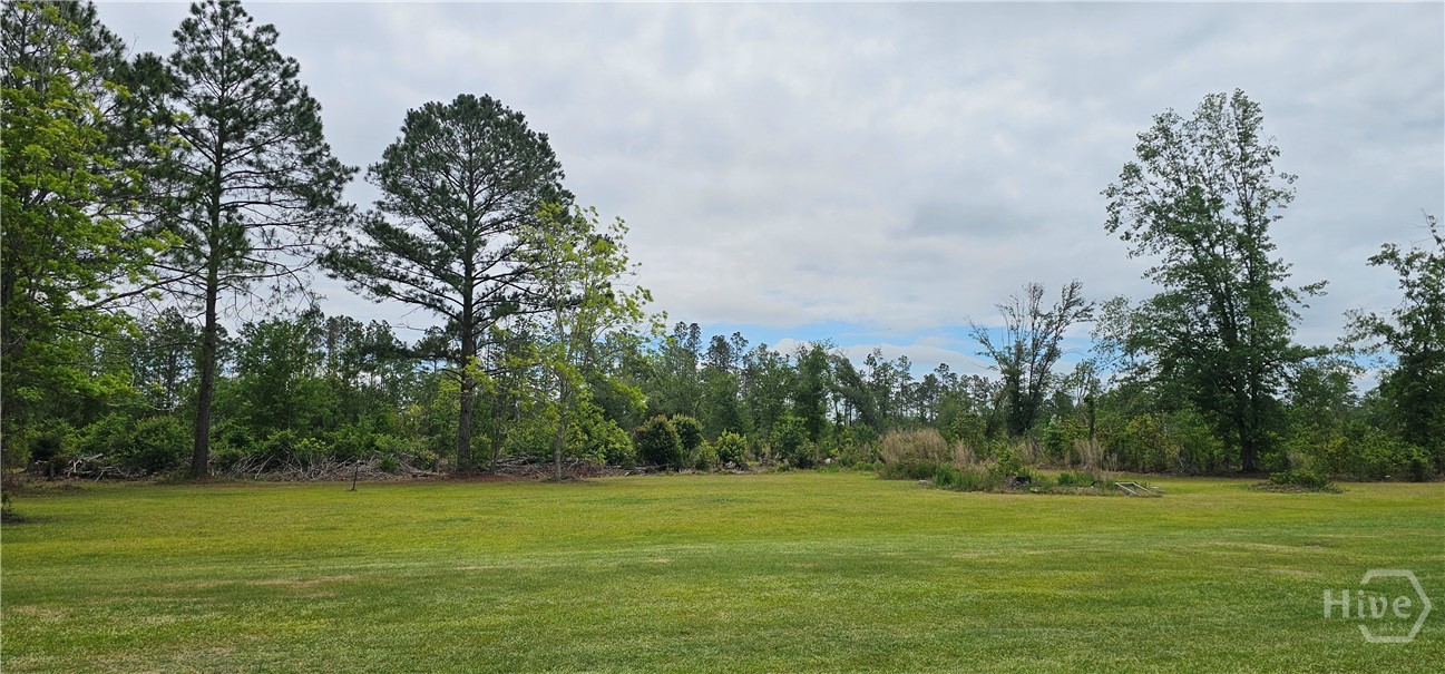 13637 Hwy 23 Property Photo 6