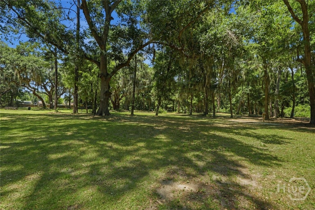 607 Leaning Oaks Drive Property Photo 23