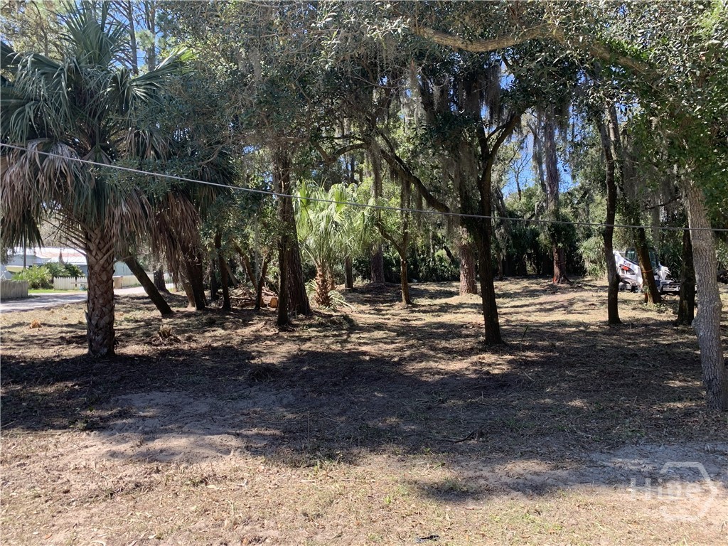 0 Mckenzie Avenue Property Photo 2