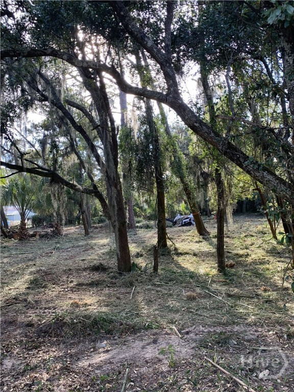 0 Mckenzie Avenue Property Photo 3