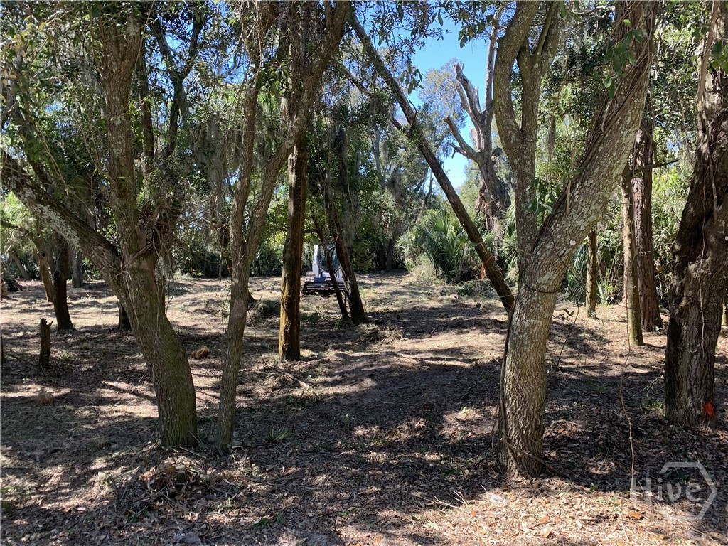 0 Mckenzie Avenue Property Photo 4